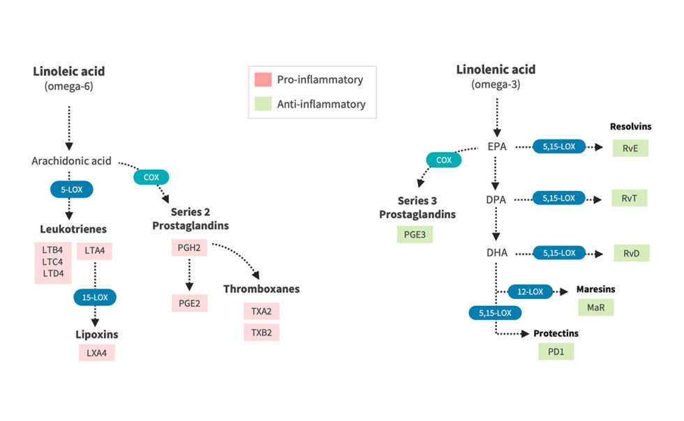 EPA / DHA A Review of Clinical Use and Efficacy Nutritional Medicine
